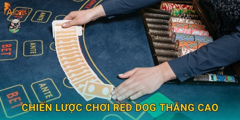 Chiến lược chơi Red Dog thắng cao