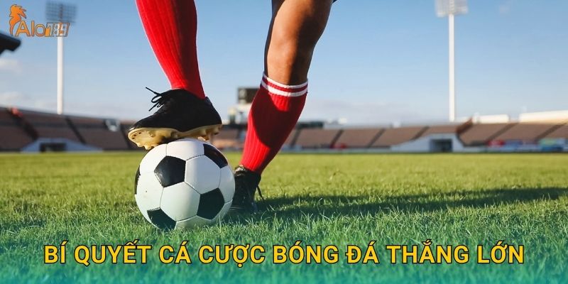 Bí quyết cá cược bóng đá thắng lớn