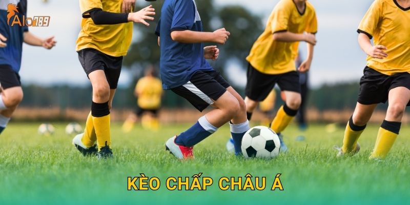 Kèo Chấp Châu Á Alo789 sh – Tỷ Lệ Chuẩn Nhất